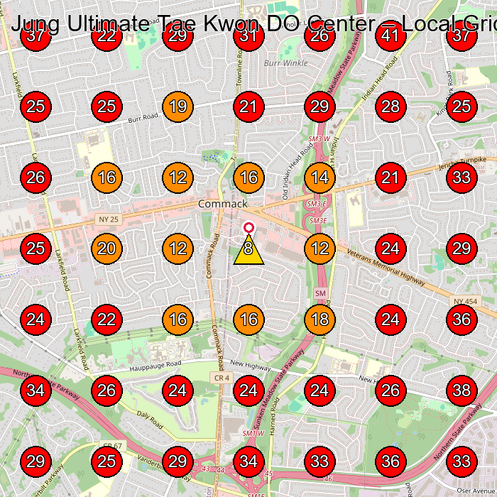 Jung Ultimate Tae Kwon DO Center GeoGrid visibility map for Martial Arts School in Smithtown